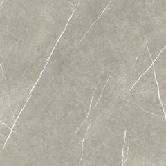 Eternal Taupe Natural 60x60 cm
