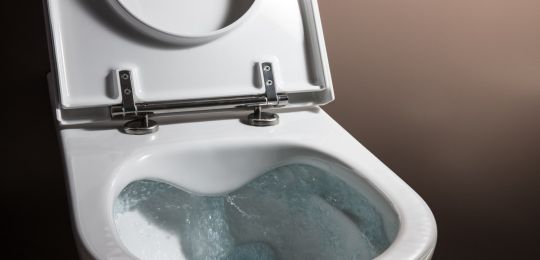 LAUFEN PRO LIBERTY